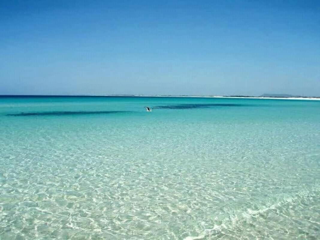 Apartment Predio Atalaia - Grande Arraial do Cabo
